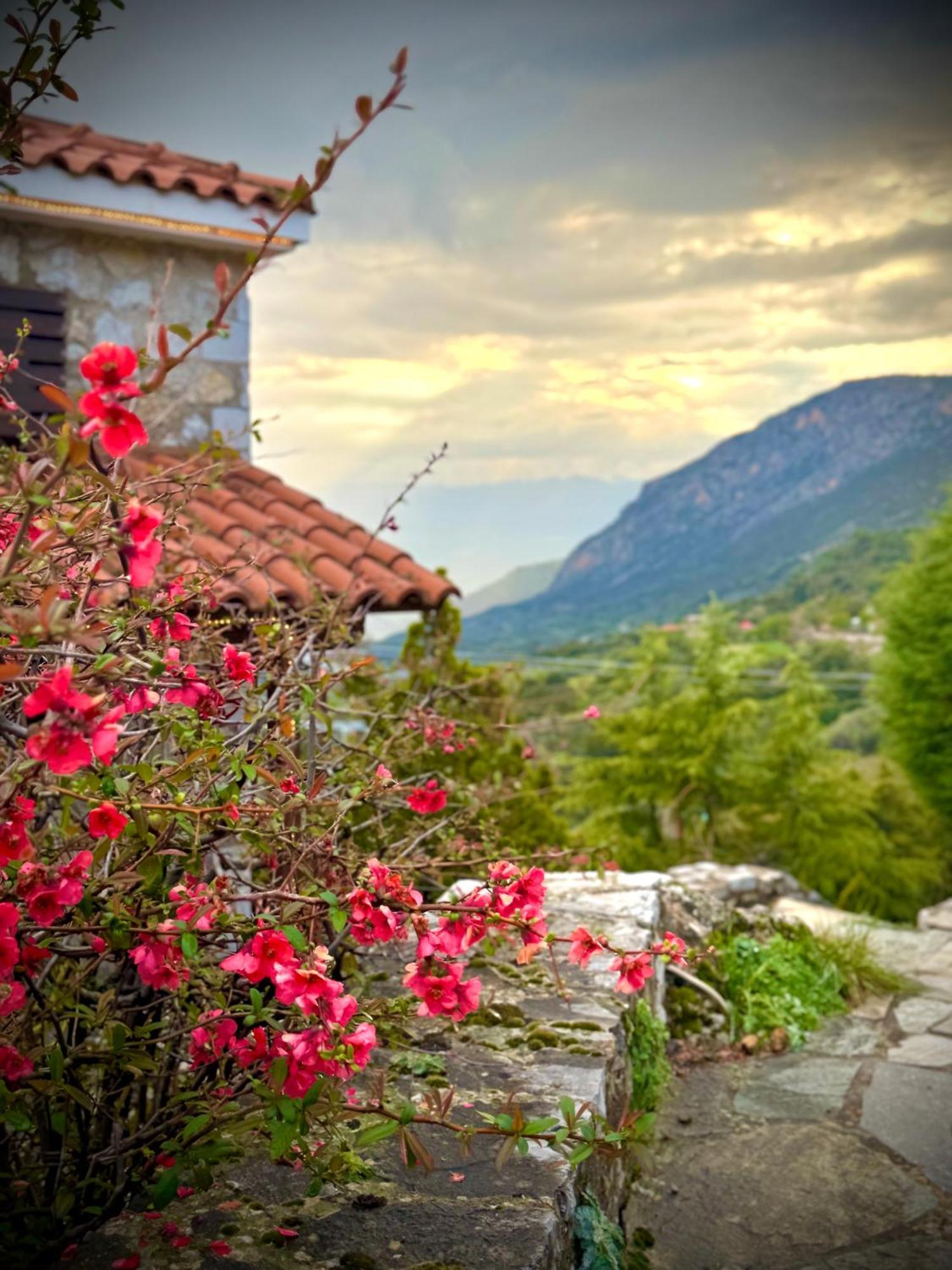 Rock Dandy Deluxe Chalet In Arachova - Delphi, Sauna, Prv Parking, Amazing View Εξωτερικό φωτογραφία